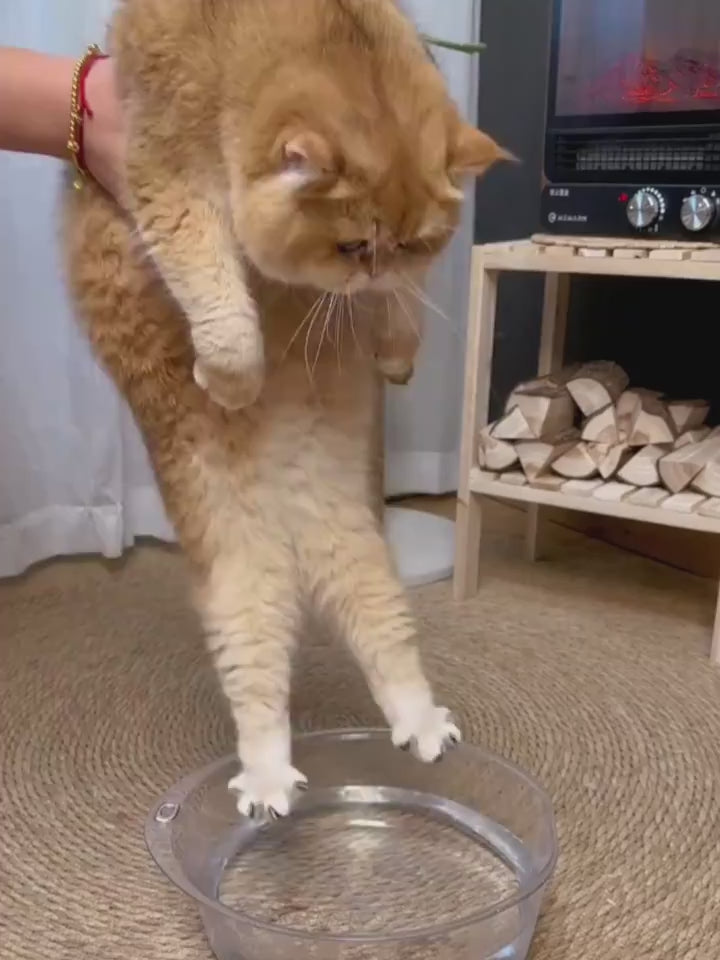 Load video: 1